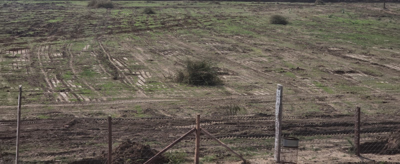  Agricultural Land 12 Bigha for Sale in Sumerpur Pali