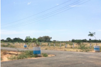  Residential Plot for Sale in Veerapanchan, Madurai