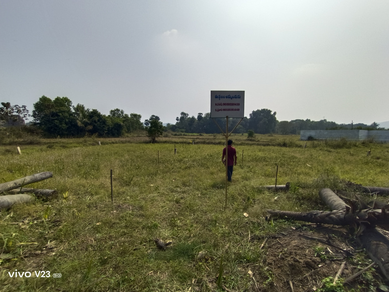  Commercial Land 15 Cent for Sale in Ponduru, Srikakulam