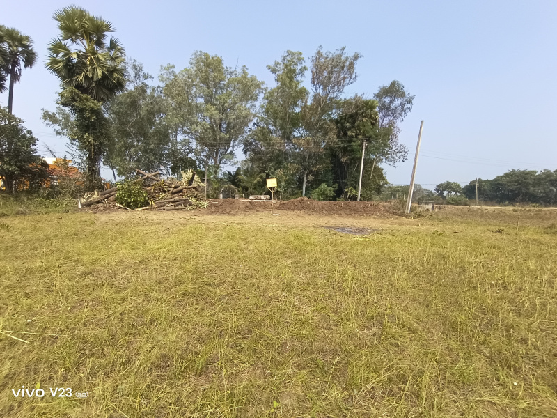  Commercial Land 15 Cent for Sale in Ponduru, Srikakulam