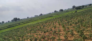  Agricultural Land for Sale in Achampet, Nagarkurnool