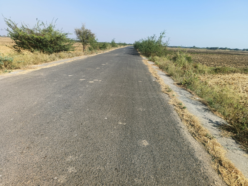  Agricultural Land 12925 Sq. Meter for Sale in Dholka, Ahmedabad