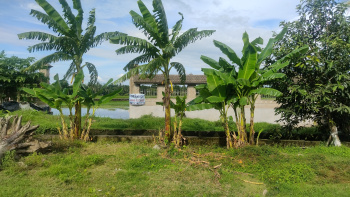  Commercial Land for Sale in Haldia, Medinipur