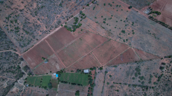  Agricultural Land for Sale in Madhugiri, Tumkur