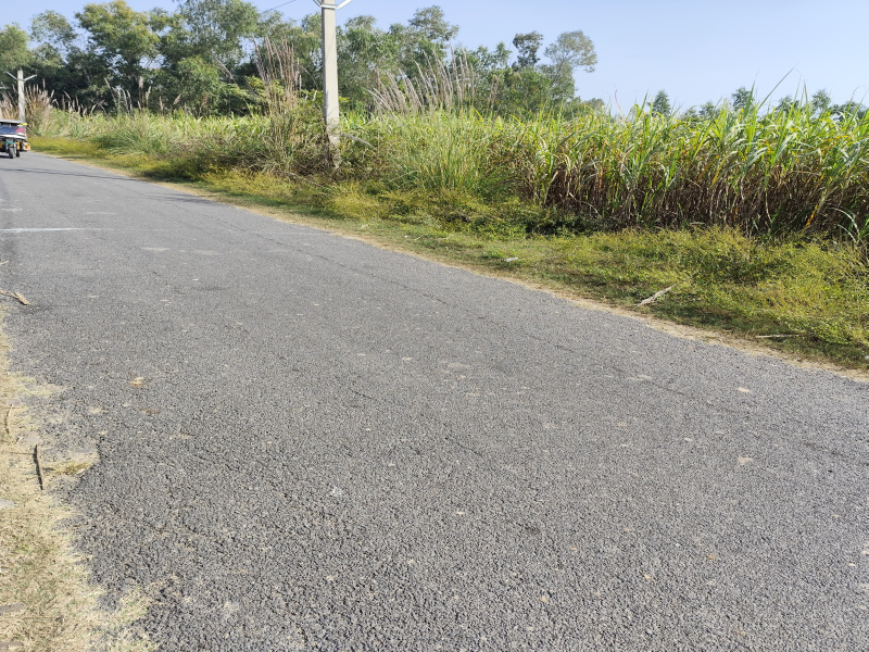  2 Bigha Agricultural/Farm Land for Sale in Najibabad, Bijnor