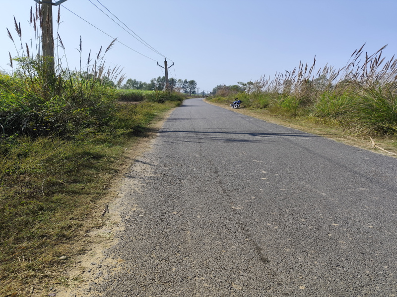  2 Bigha Agricultural/Farm Land for Sale in Najibabad, Bijnor