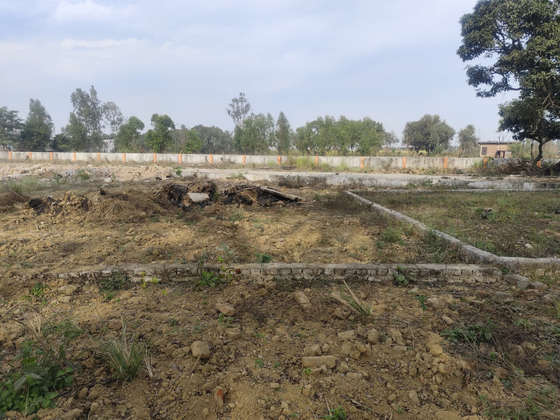  900 Sq.ft. Commercial Land for Sale in Najibabad, Bijnor