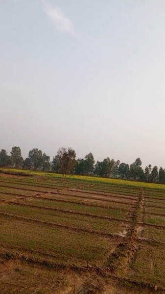  14 Bigha Agricultural/Farm Land for Sale in Najibabad, Bijnor