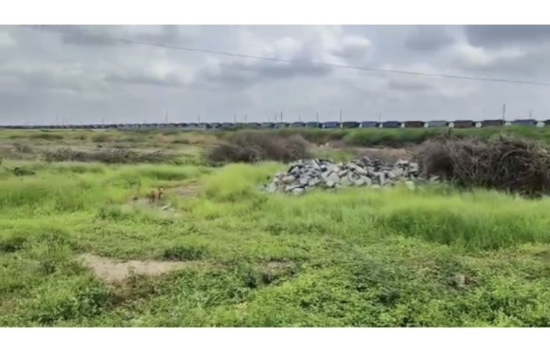  Industrial Land 5 Acre for Sale in Tadipatri, Anantapur