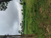 Agricultural Land for Rent in Bidadi, Bangalore
