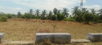  Agricultural Land for Sale in Kangeyam, Tirupur