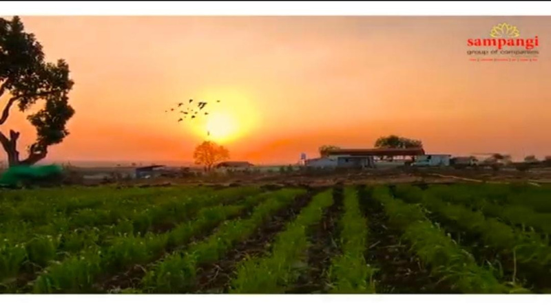  Residential Plot 605 Sq. Yards for Sale in Narayankhed, Sangareddy