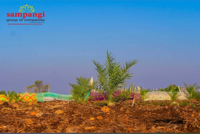  Residential Plot 605 Sq. Yards for Sale in Nandikandi, Sangareddy