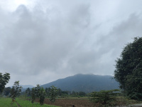  Agricultural Land for Sale in Morappur, Dharmapuri