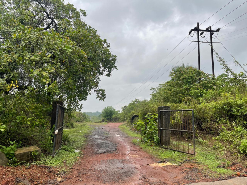  Residential Plot 5000 Sq. Meter for Sale in Sanguem, South Goa