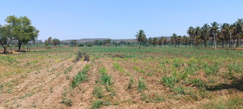  Agricultural Land for Sale in Ramdurg, Belgaum