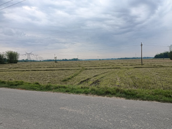  Agricultural Land for Sale in Dekargaon, Tezpur