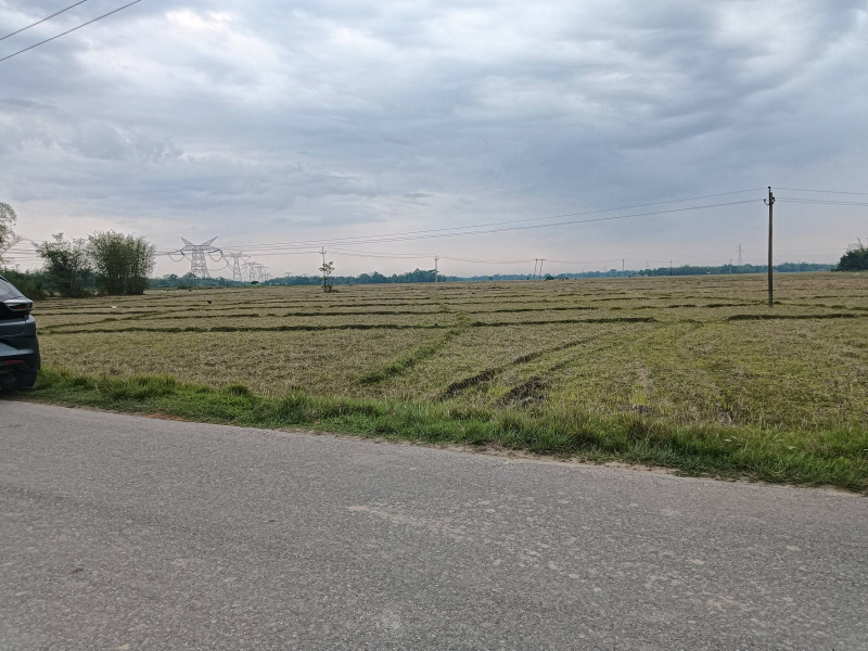  Agricultural Land 11 Bigha for Sale in Dekargaon, Tezpur