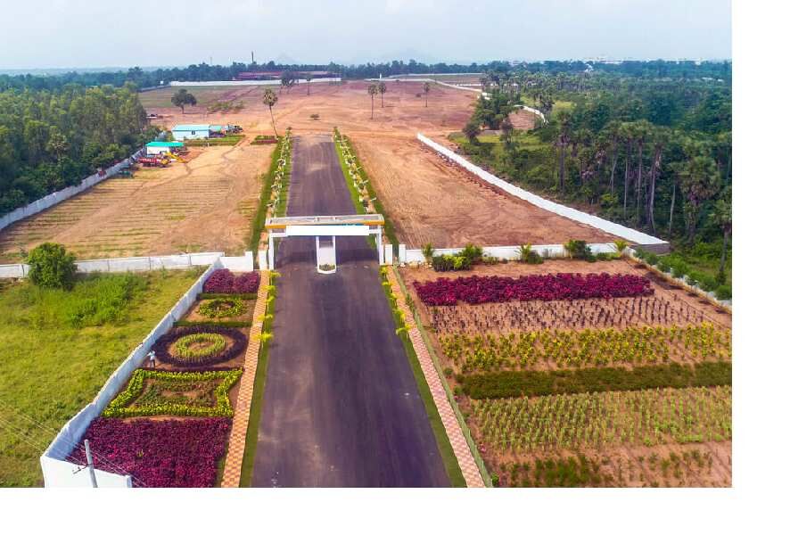  Residential Plot 200 Sq. Yards for Sale in Polipalli, Visakhapatnam