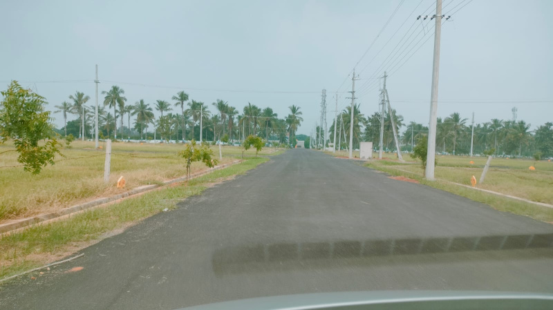  Residential Plot 220 Sq. Yards for Sale in Pydibhimavaram, Srikakulam