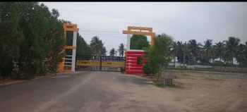  Residential Plot for Sale in Pydibhimavaram, Srikakulam