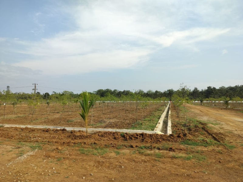  Residential Plot 200 Sq. Yards for Sale in Bobbili, Vizianagaram