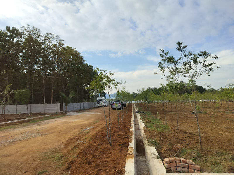  Residential Plot 400 Sq. Yards for Sale in Bobbili, Vizianagaram