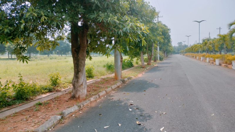  267 Sq. Yards Residential Plot for Sale in Bhogapuram, Visakhapatnam