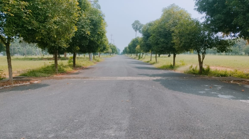  267 Sq. Yards Residential Plot for Sale in Bhogapuram, Visakhapatnam