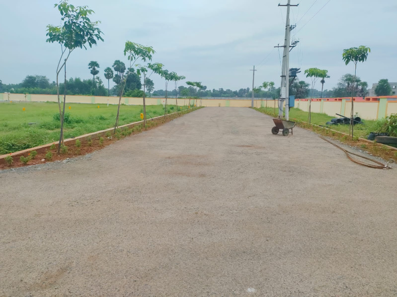  200 Sq. Yards Residential Plot for Sale in Bhogapuram, Visakhapatnam