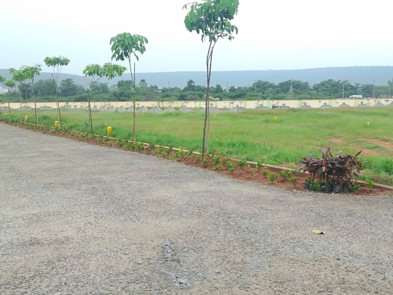  200 Sq. Yards Residential Plot for Sale in Bhogapuram, Visakhapatnam