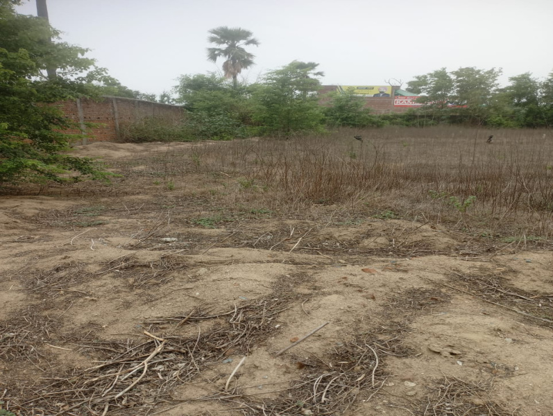  Residential Plot 38 Katha for Sale in Wazirganj, Gaya