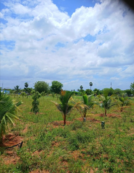  Agricultural Land for Sale in Siruganur, Tiruchirappalli
