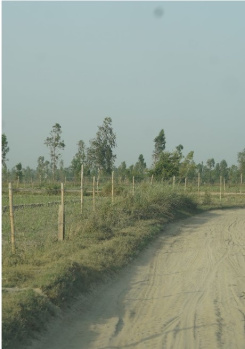  Agricultural Land for Sale in Garhmukteshwar, Hapur