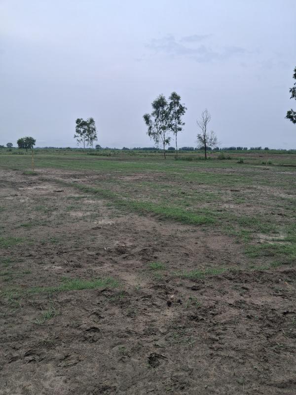  Agricultural Land 1210 Sq. Yards for Sale in Garhmukteshwar, Hapur