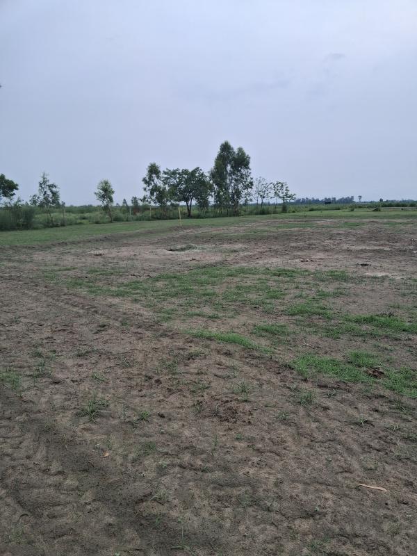  Agricultural Land 1210 Sq. Yards for Sale in Garhmukteshwar, Hapur