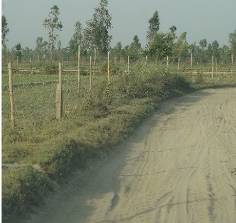  Agricultural Land 1210 Sq. Yards for Sale in Garhmukteshwar, Hapur