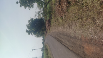  Agricultural Land for Sale in Dhamnod, Dhar