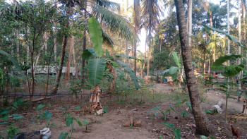  Agricultural Land for Sale in Kanimangalam, Thrissur