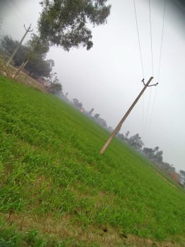  Agricultural Land for Sale in Milak, Rampur