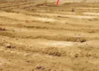  Residential Plot for Sale in Raghav Nagar, Deoria