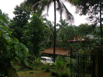  Agricultural Land for Sale in Iritty, Kannur