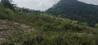  Agricultural Land for Sale in Kathgodam, Haldwani
