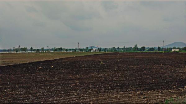  Agricultural Land 4000 Sq.ft. for Sale in Rau, Indore