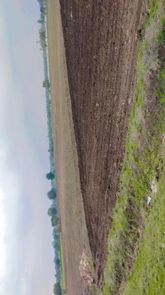  Agricultural Land 4000 Sq.ft. for Sale in Rau, Indore