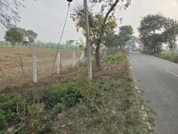  Agricultural Land for Sale in Farrukhnagar, Gurgaon