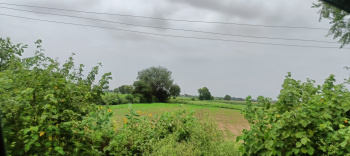  Agricultural Land for Sale in Dharuhera, Rewari