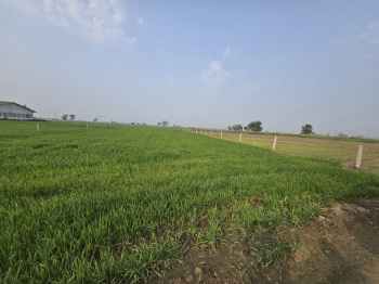  Agricultural Land for Sale in Dharuhera, Rewari