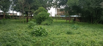  Residential Plot for Sale in Madhupur, Deoghar