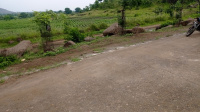 Agricultural Land for Sale in Mohgaon, Chhindwara
